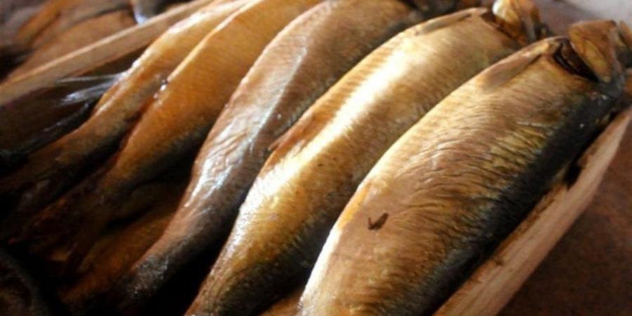 أسعار الفسيخ والرنجة بأسواق محافظة الغربية اليوم الثلاثاء 7 أبريل 2026