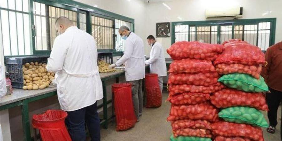 الزراعة تكشف جهود المعمل المركزي لفحص وتصدير البطاطس خلال مارس