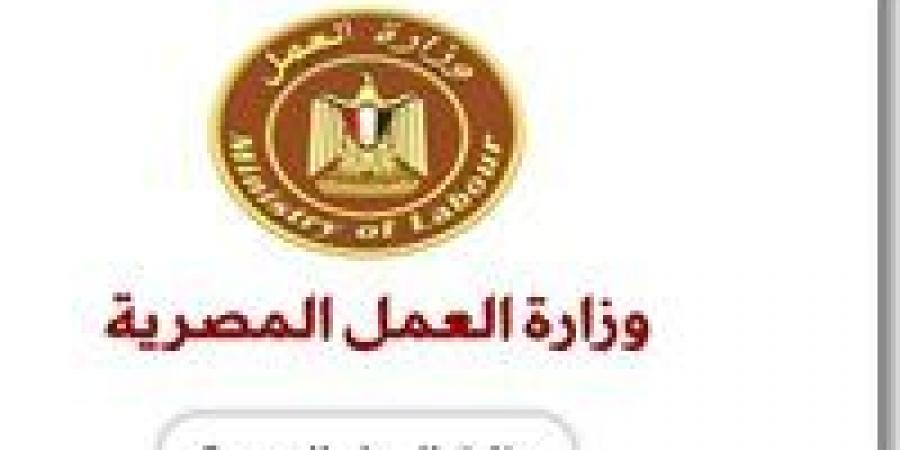 وزارة العمل تعلن عن 165 فرصة عمل برواتب تصل 10 ألاف جنيه شهريا كشف الرابط والتفاصيل