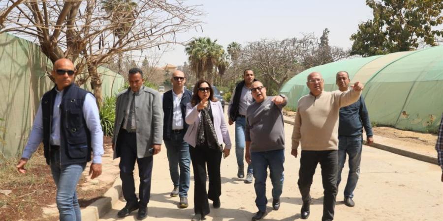 وزيرة التنمية توجه برفع كفاءة المشاتل المساهمة في التشجير