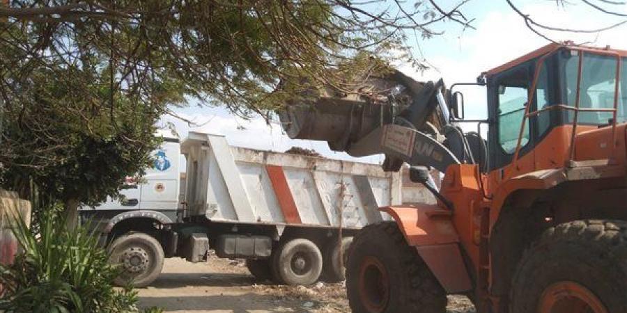 رفع 300 طن مخلفات بمدينة قطور بالغربية