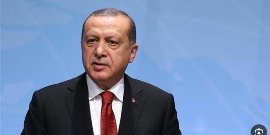 أردوغان: نحو مليار دولار قيمة الاستثمارات في مجال المنظومات الدفاعية
