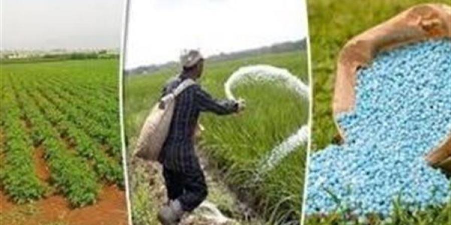 متحدث الزراعة: التقنيات الحديثة توفر 70% من التكلفة وتدعم زيادة الصادرات