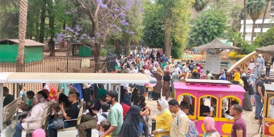 هل تفتح حديقة الحيوان في شم النسيم 2026؟ أبرز أماكن الفسح البديلة في القاهرة والجيزة