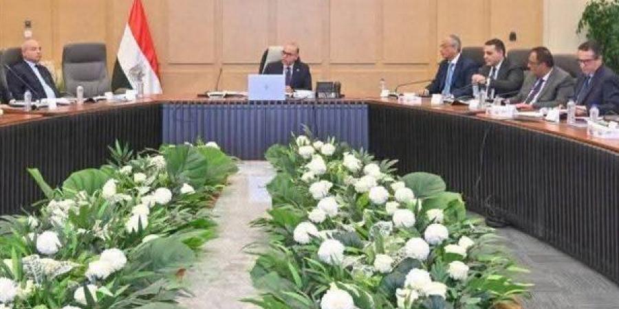 وزير الاستثمار يترأس اجتماع مجموعة العمل المعنية بالعلاقات المصرية الكورية