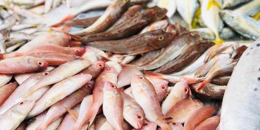 أسعار الأسماك والمأكولات البحرية بالإسكندرية اليوم الخميس 9 إبريل