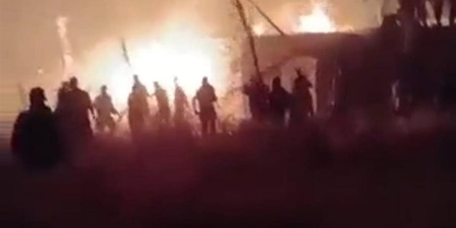 نفوق 5000 كتكوت.. الأمن يجرى معاينة لحصر خسائر حريق بمزرعة دواجن بأسوان