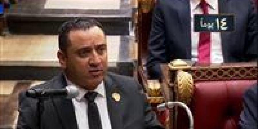 بعد مقترح اصدار قانون خاص بالوظيفة المحلية.. النائب ولاء حافظ لـ تحيا مصر: خطوة حاسمة نحو اجتثاث الفساد وتعزيز الرقابة بالمحافظات