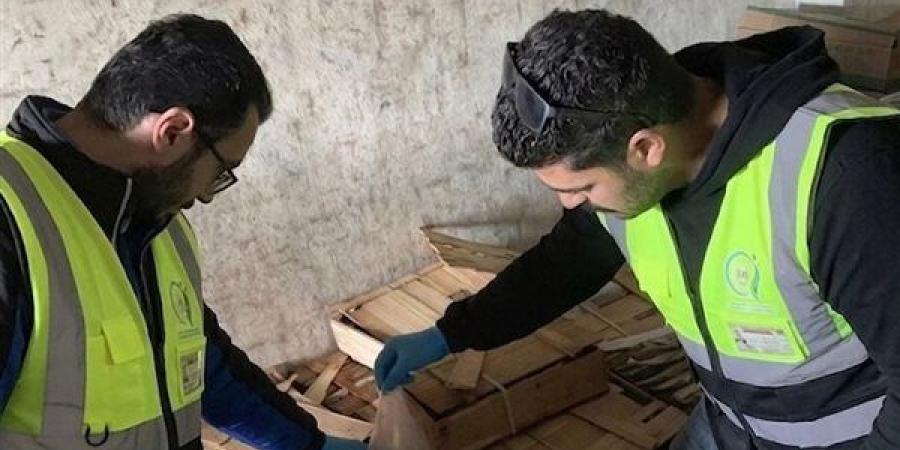 ضبط طن رنجة غير صالحة للإستخدام فى الغربية