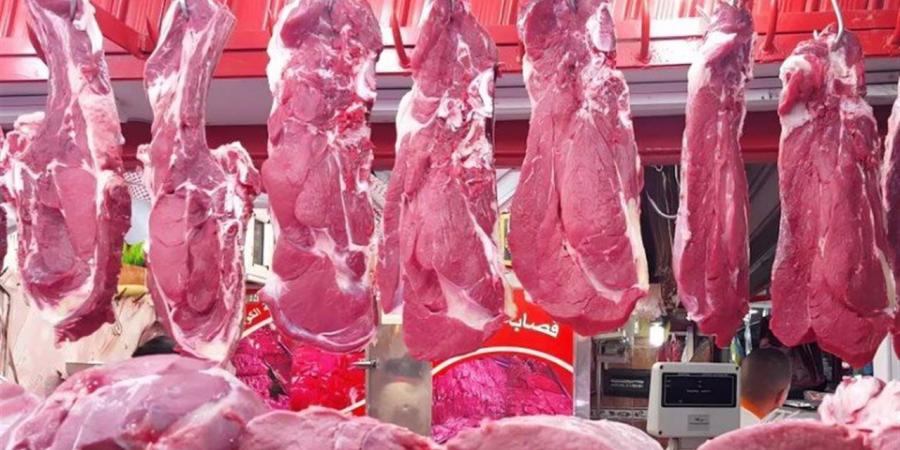 تكثيف الحملات على محلات الجزارين وثلاجات حفظ اللحوم والمطاعم بالدقهلية