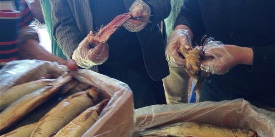 الطب البيطري يعلن ضبط 3.3 طن اسماك ولحوم غير الصالحة بالغربية