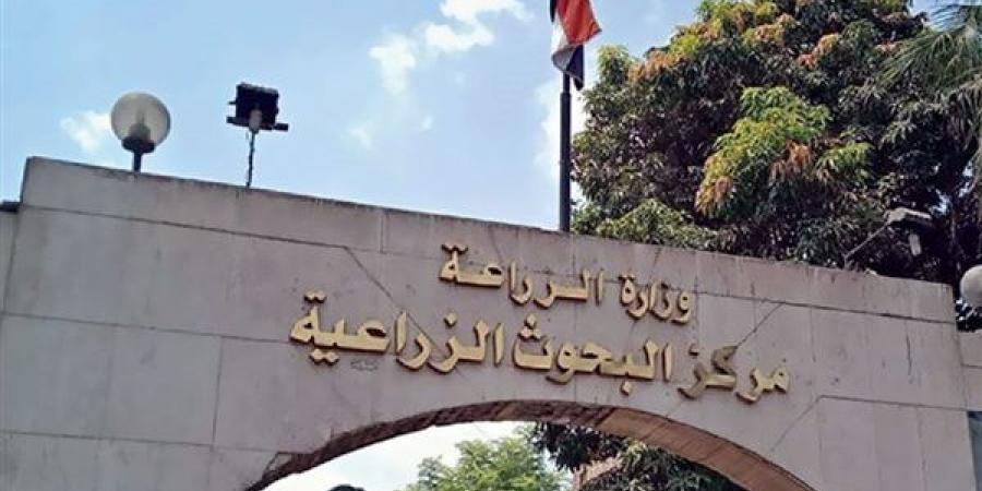 ﻣﺮﻛﺰ اﻟﺒﺤﻮث اﻟﺰراﻋﻴﺔ ﻳﻮاﺟﻪ أزﻣﺔ وﺟﻮد