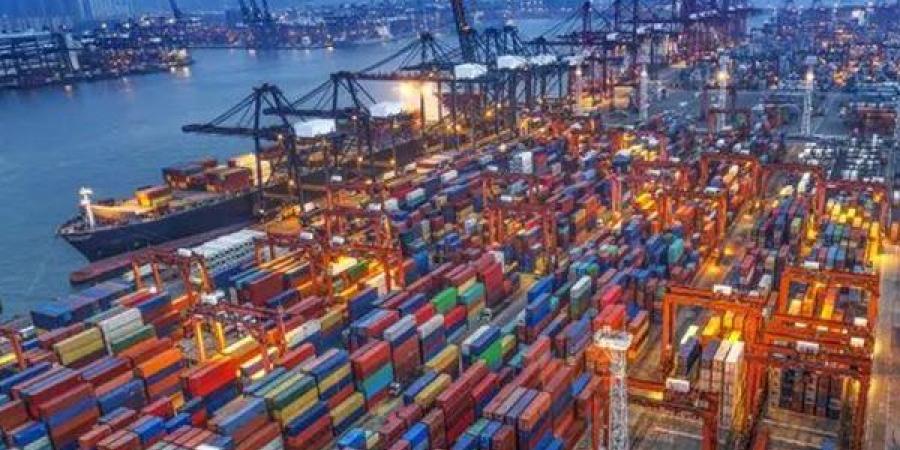 إعفاء شحنات الترانزيت من ACI يدعم حركة التجارة في مصر