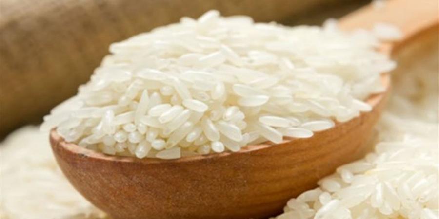 سعر طن الأرز الشعير اليوم الجمعة للمزارعين والموردين