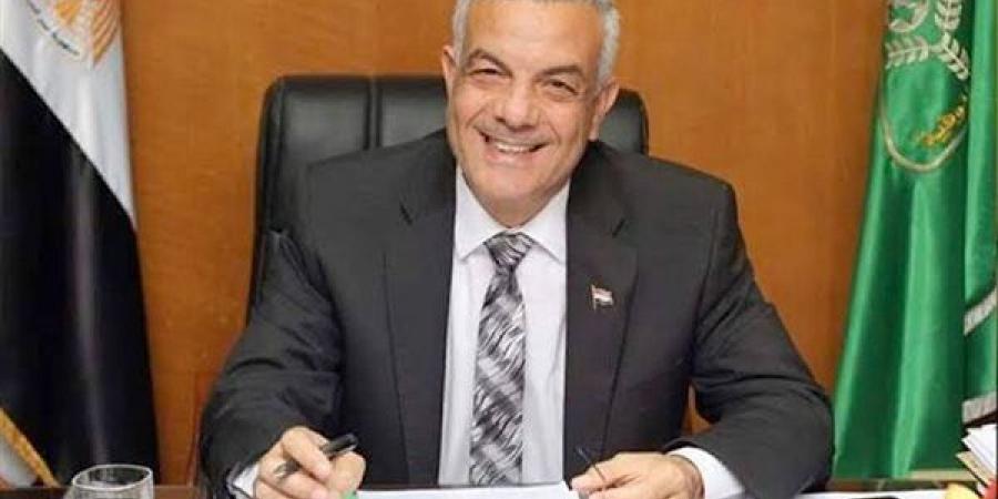 تعيين عادل مبروك رئيسًا لجامعة "نيو إيجيبت"