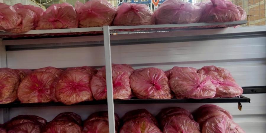 محافظ الدقهلية يؤكد: استمرار عمل المنافذ الجديدة لبيع الخبز المدعم بالمنصورة