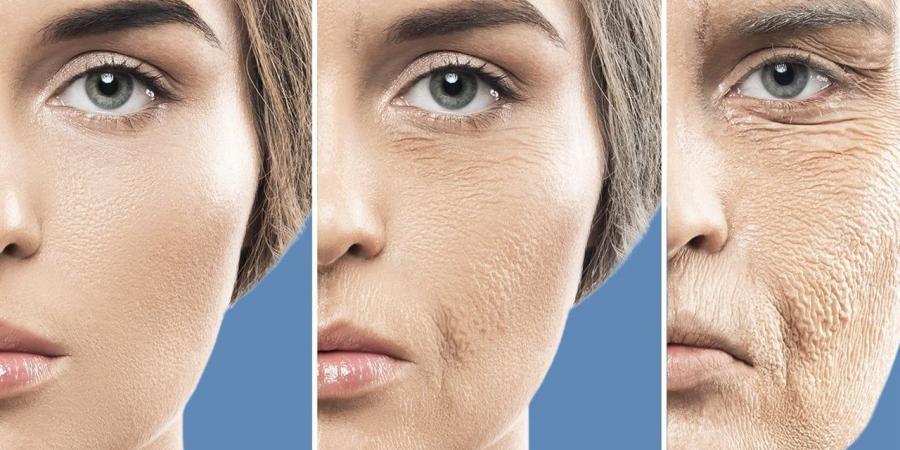 السكريات "تطبخ" أجسامنا من الداخل!. آلية خطيرة لشيخوخة الخلايا