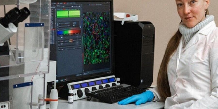 ابتكار جديد لعلاج السرطان بالليزر.. يعيد برمجة الخلايا المناعية داخل الورم