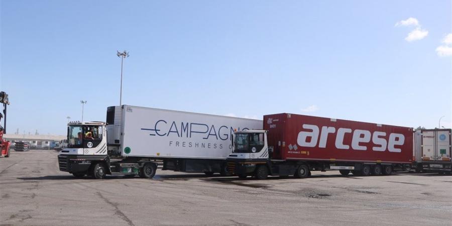 تداول ليد سيارات وحديد عبر خط الرورو في دمياط