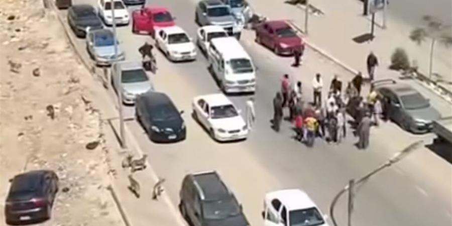 نقل للعناية المركزة.. دهس طفل خلال محاولته الهروب من كلاب ضالة في السويس