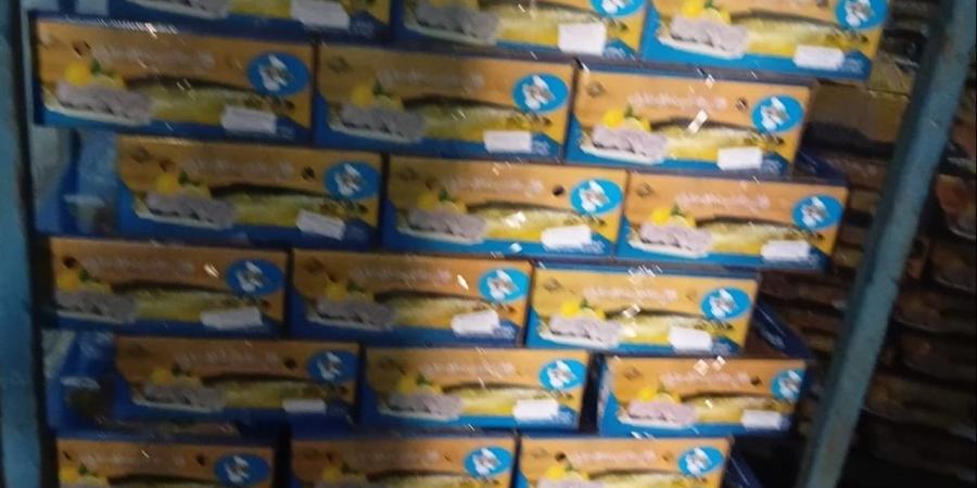 حملات مكثفة لتموين الشرقية تضبط 6 أطنان رنجة وأسماك مجهولة المصدر قبل شم النسيم