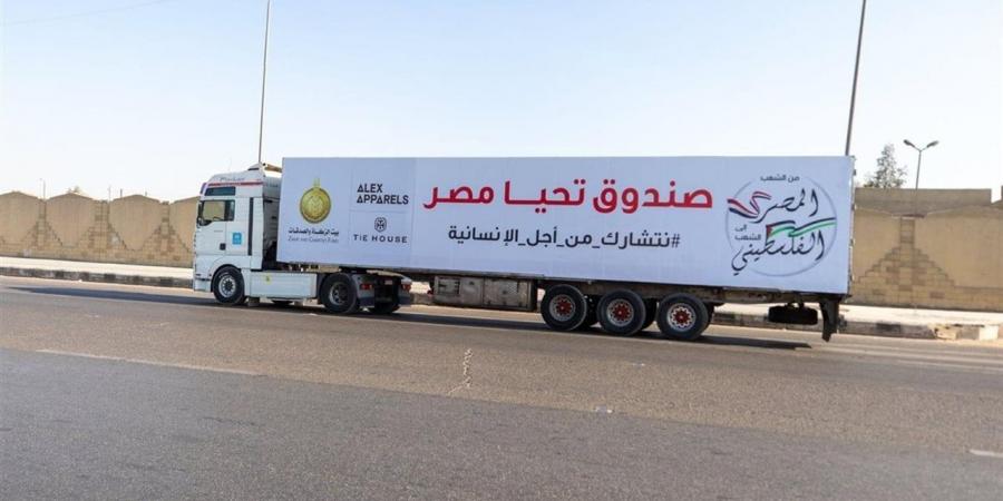 تحيا مصر وبيت الزكاة يُطلقان "كرنفال الفرحة" بمدينة الأسمرات