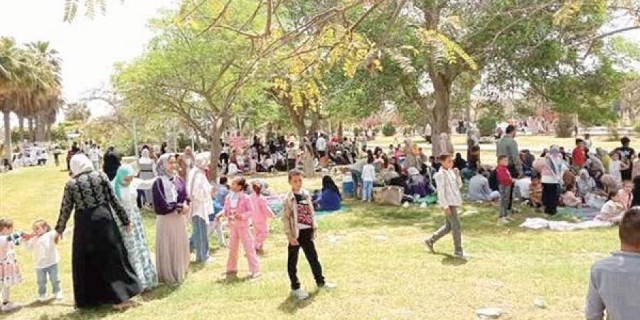 الاحتفال بشم النسيم.. الإفتاء تؤكد: عادة اجتماعية لا تتعارض مع الشريعة