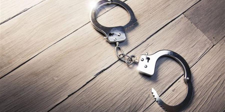 إخلاء سبيل عامل المرج وحبس ناشرتي فيديو "بلطجة المسن" بتهمة التضليل