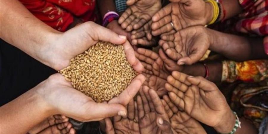 الأمن الغذائي لأكثر من نصف سكان العالم في خطر بسبب حرب إيران (تفاصيل)