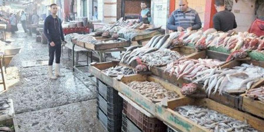 تحركات جديدة في أسعار السمك اليوم السبت 11 أبريل 2026