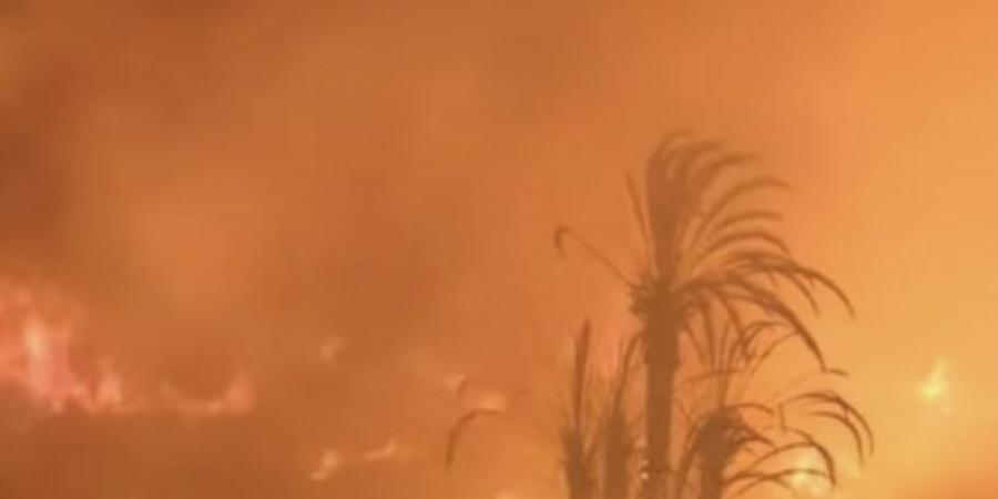 حريق ضخم داخل مزرعة في المنيب