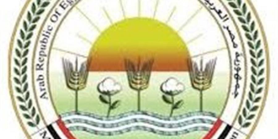 "الزراعة": ضبط 71 طنًا من الأسماك المملحة والمدخنة غير الصالحة