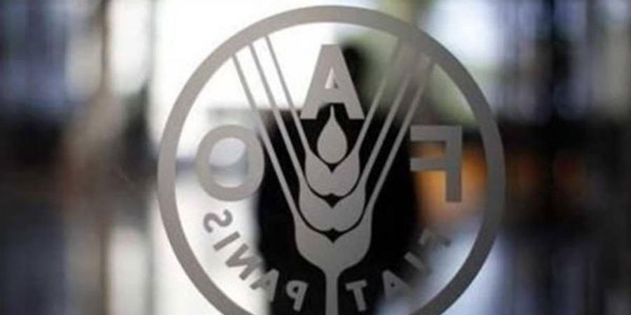 "الفاو" تؤكد استمرار دعمها للبنان لتعزيز الأمن الغذائي