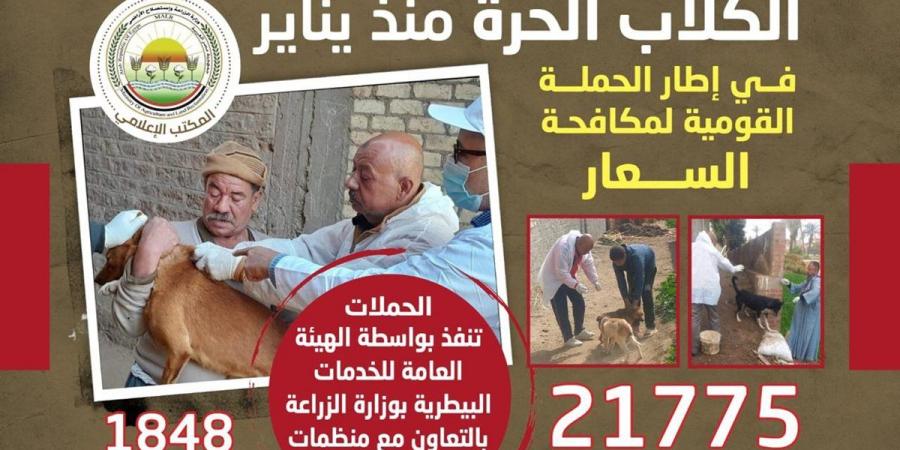 شوارع أكثر أمانًا.. الزراعة تواصل حملة مكافحة السعار بالتعاون مع المجتمع المدني