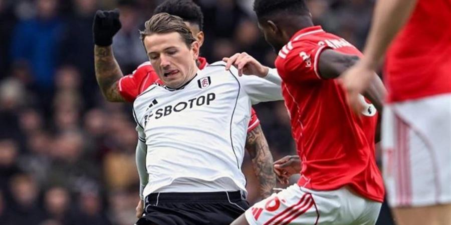 بث مباشر.. مواجهة الفرصة الأخيرة لتوتنهام أمام سندرلاند في البريميرليج