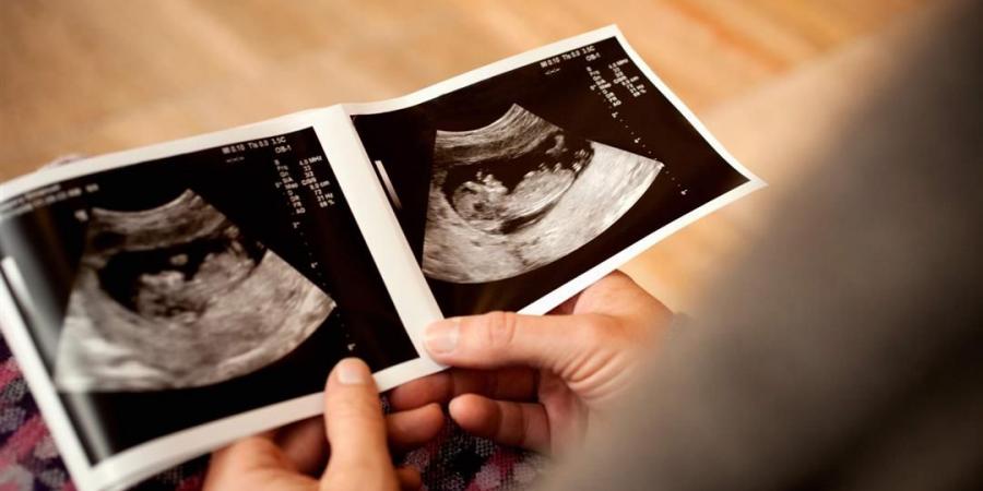 الساعة البيولوجية للجنين داخل الرحم تتزامن مع الإيقاع اليومي للأم (تفاصيل)