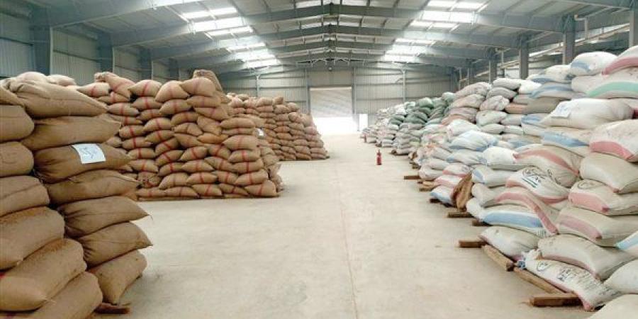 «الزراعى المصرى» ينهى استعداداته لاستقبال موسم توريد القمح 2026