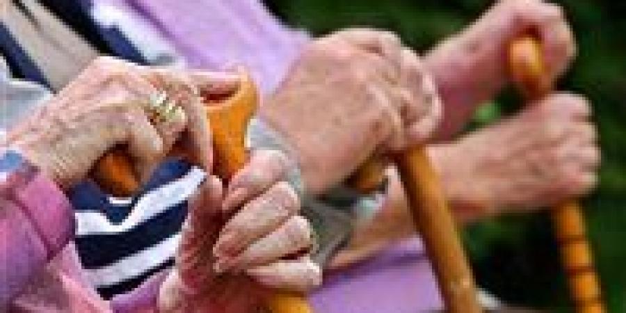 قانون رعاية المسنين يحدد حالات الخطر ويوفر آليات عاجلة لحمايتهم