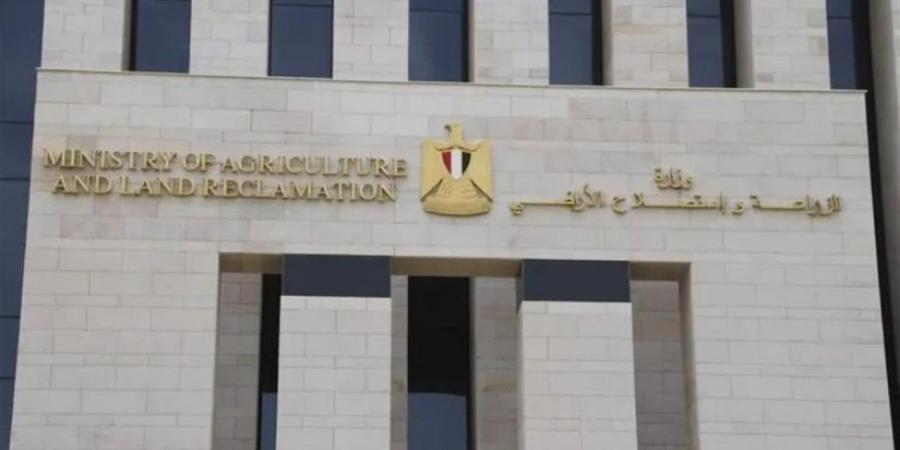 "بيطرية المنوفية" تتحفظ على نصف طن لحوم فاسدة.. وتكثيف الرقابة على الأغذية بالأقصر