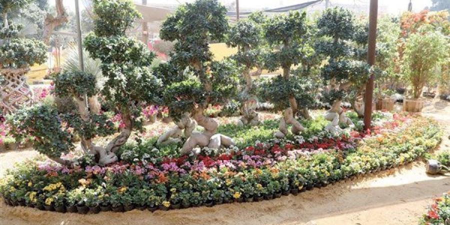 الدنيا ربيع والجو بديع