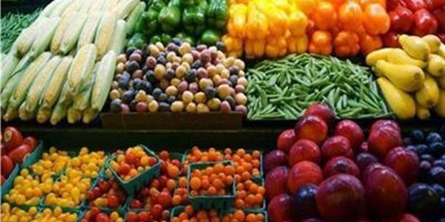 استقرار أسعار الخضروات في أسواق سوهاج اليوم الأحد 12 أبريل 2026