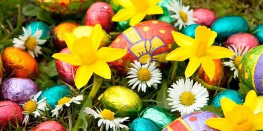 أجمل عبارات ورسائل شم النسيم 2026.. كلمات تهنئة مميزة للأهل والأصدقاء