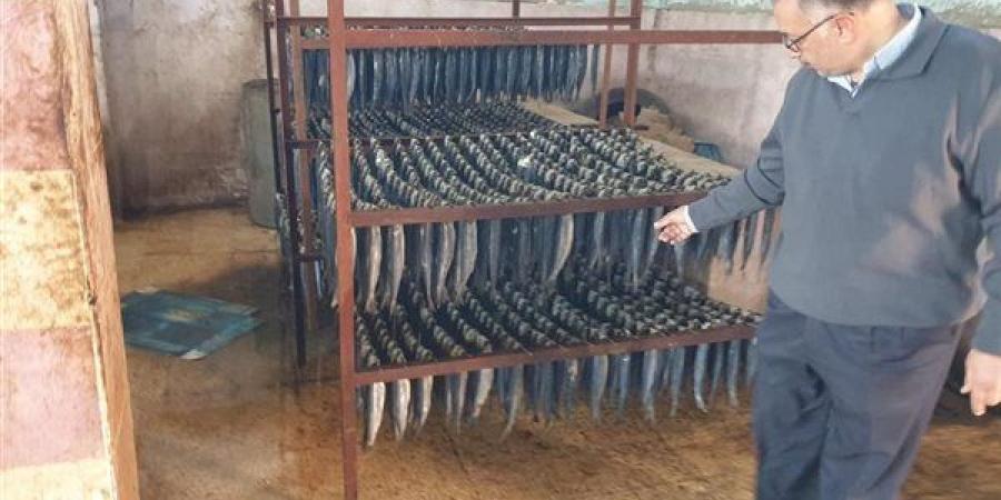 الزراعة ضبط 71 طن أسماك مملحة ومدخنة غير صالحة وتحرير 177 محضرًا قبل شم النسيم