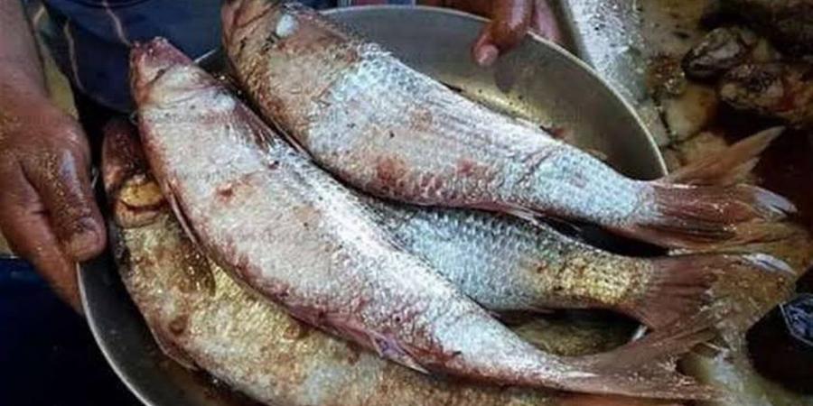 قبل شم النسيم.. الخدمات البيطرية بالقليوبية تضبط طن فسيخ وسردين فاسد