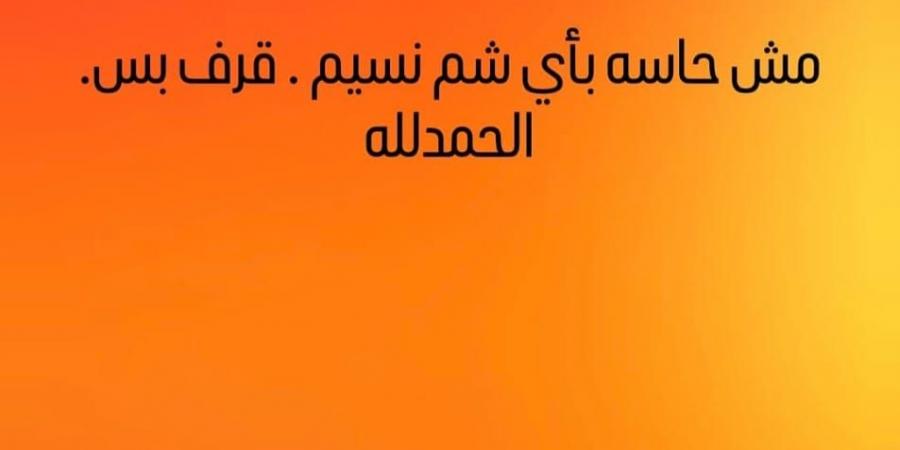 إيمي سمير غانم تثير الجدل عبر إنستجرام: مش حاسة بأي شم نسيم.. قرف بس