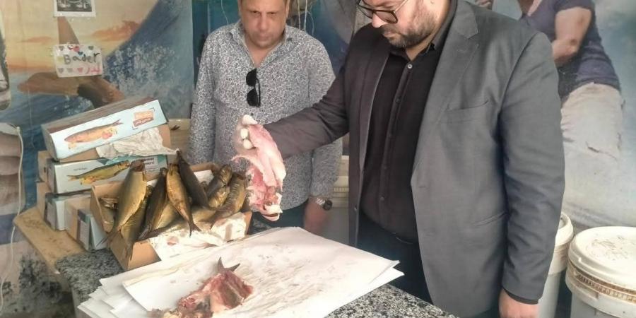 ضبط أكثر من ١٦ طن أسماك مملحة ومدخنة خلال حملات رقابية بالشرقية