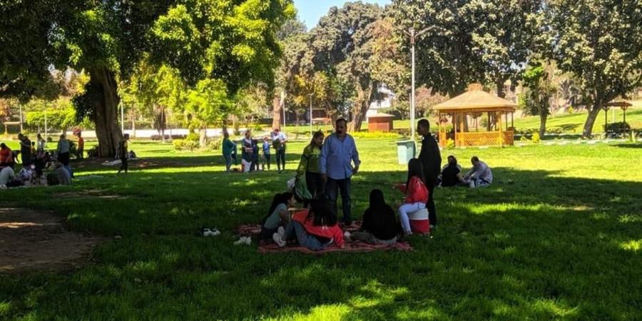 مواطنون يلتقطون صور تذكارية مع محافظ القليوبية بالقناطر (فيديو)