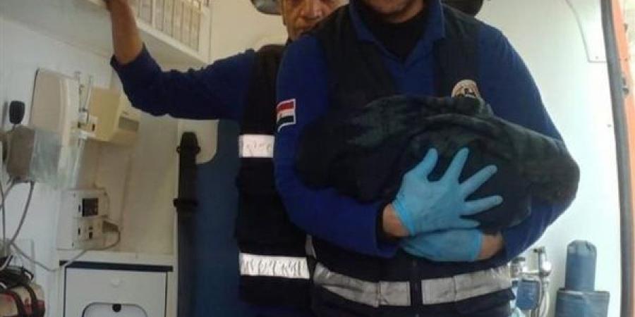 ولادة مفاجئة لسيدة بقرية محلة مرحوم خلال احتفالها بشم النسيم