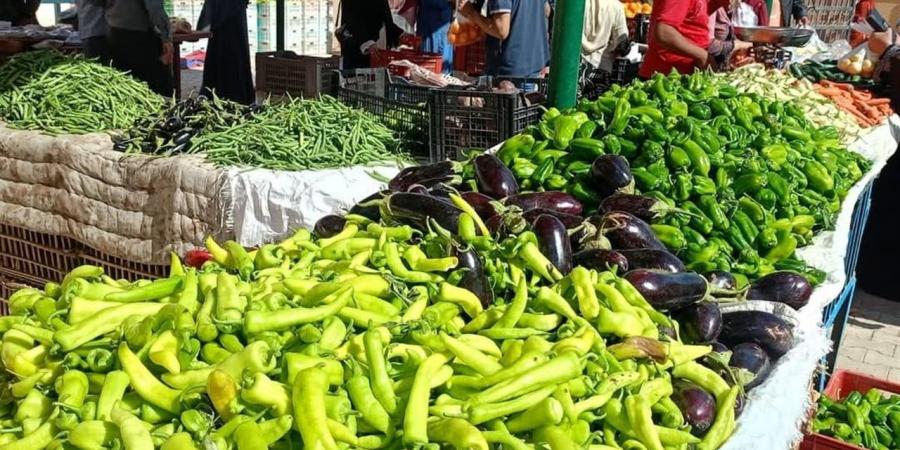 أسعار الخضروات بأسواق الوادي الجديد اليوم الثلاثاء 14 أبريل 2026