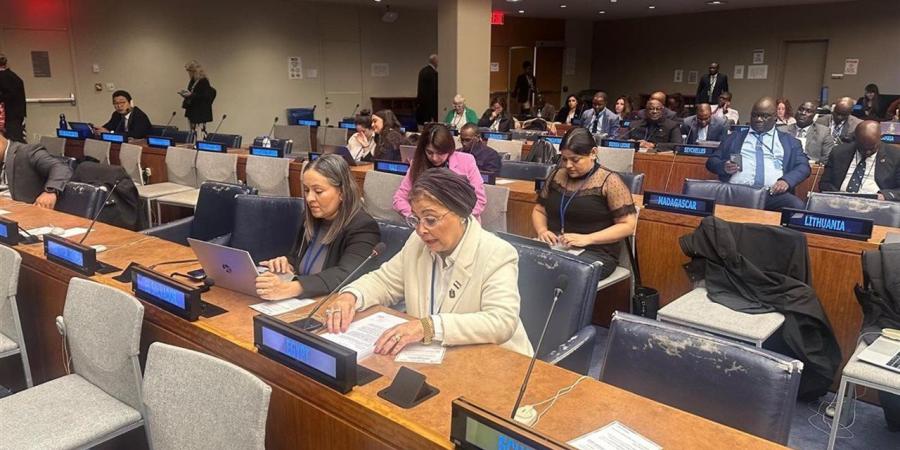 نائب وزير الصحة تلقي بيان مصر أمام لجنة السكان والتنمية بالأمم المتحدة